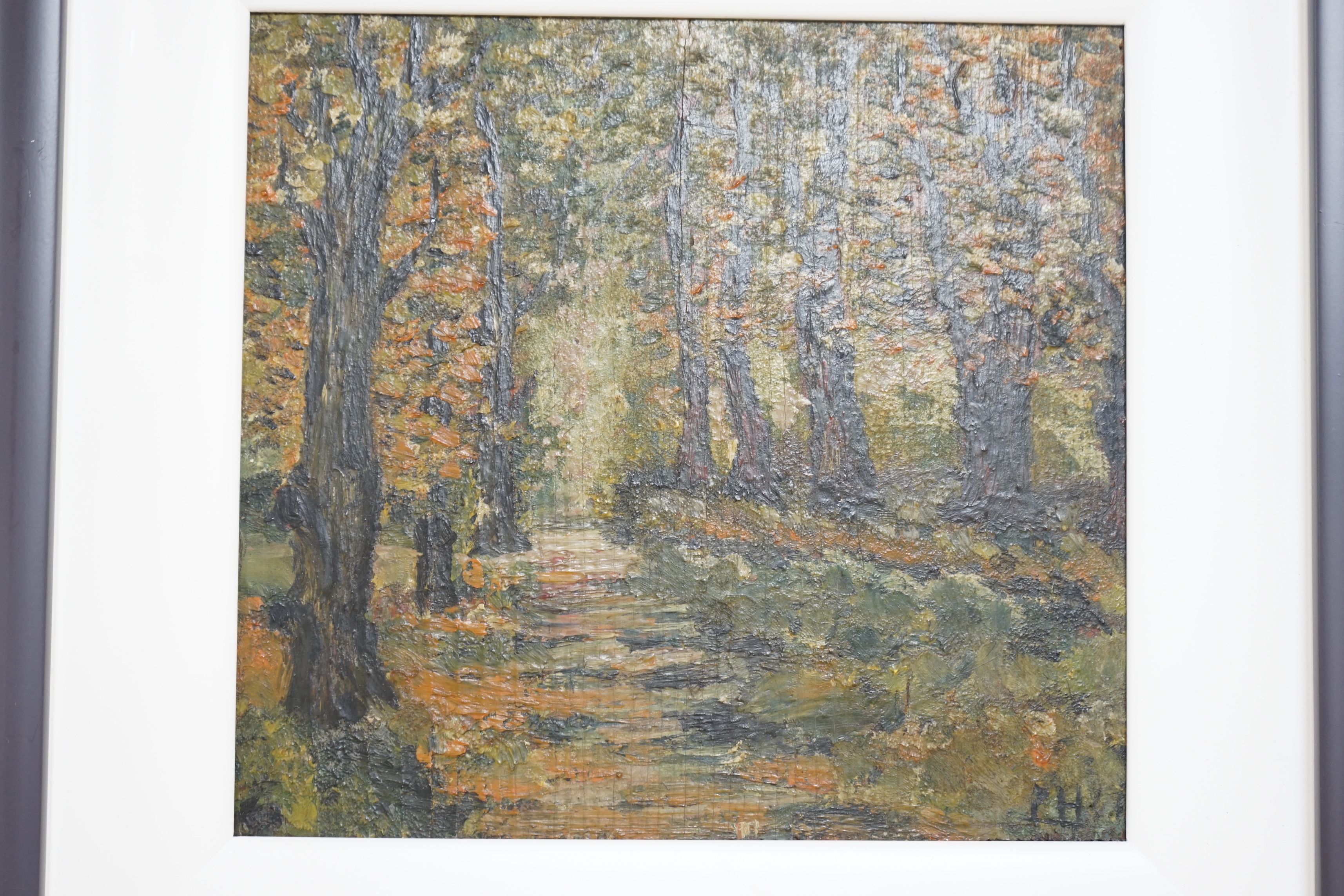 Three contemporary oils on board, Woodland scenes, one signed with initials P.H, 16 x 23cm. Condition - good
